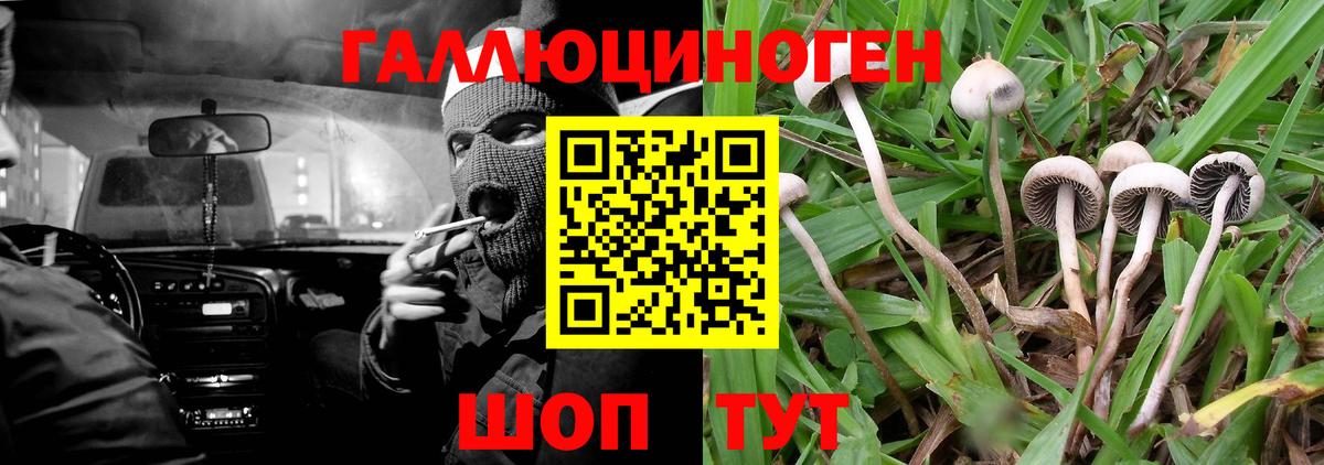 Галлюциногенные грибы Psilocybe  Вход с VPN  Галлюциногенные грибы мицелий  Чита 